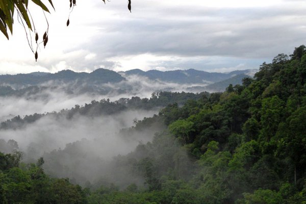 Protected forests in Laos